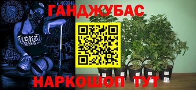 гидра Краснокаменск