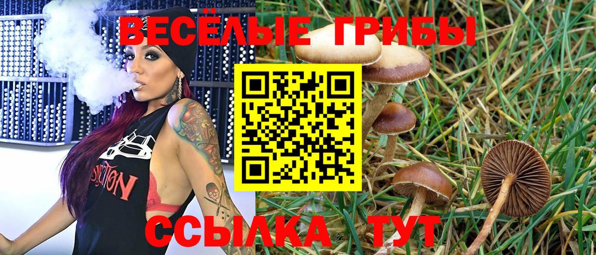 Изобильный  Галлюциногенные грибы GOLDEN TEACHER  Вход с VPN 